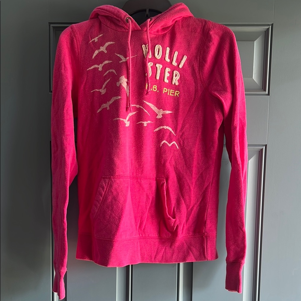 Hollister Pink Sweater Vibrant Long Sleeve